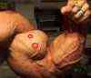 lee-priest-big-hand-biceps-trenirovka.jpg