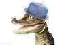 684602__happy-crocodile_t.jpg